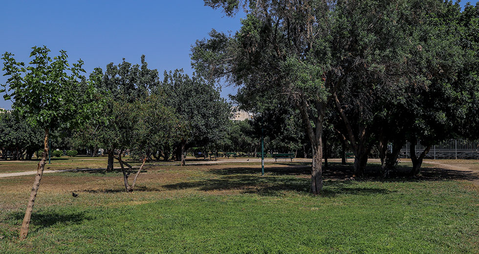 Επιχειρήματα κατά (αρχιτεκτονική) περίσταση