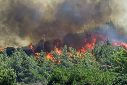 Μαίνεται πυρκαγιά στον υδροβιότοπο Κολοβρέχτη στα Ψαχνά
