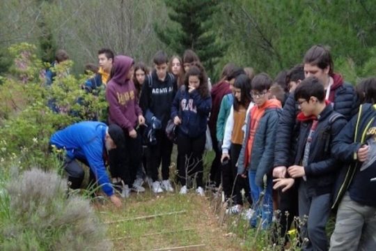 Πόσο προστατεύεται το περιαστικό δάσος του Γαλατσίου;