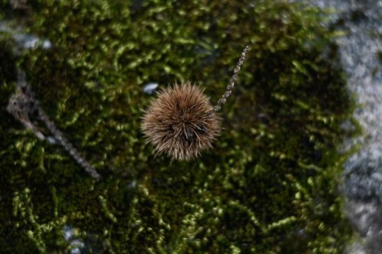 Των Φώτων με ψηλές για την εποχή θερμοκρασίες