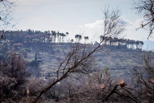 «Αστακός» η Αθήνα για την κηδεία του τέως
