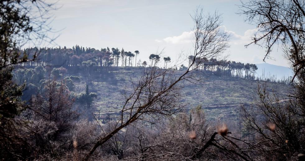 «Αστακός» η Αθήνα για την κηδεία του τέως