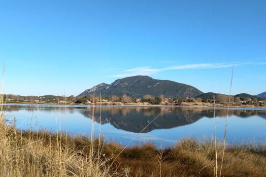 Μαζική λαθροθηρία στην Κέρκυρα