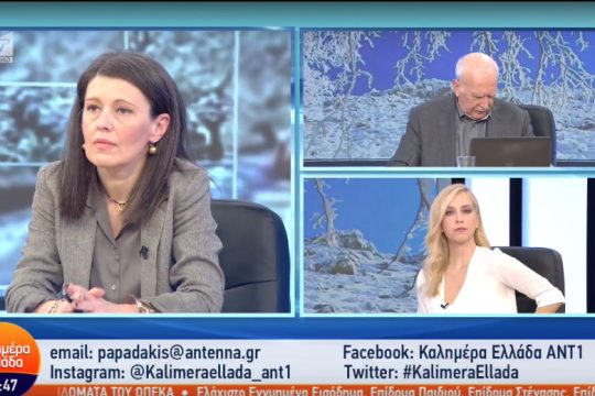 Πληρωμένη απάντηση στη «γαλάζια» χυδαιότητα από την Κ. Παπανικολάου