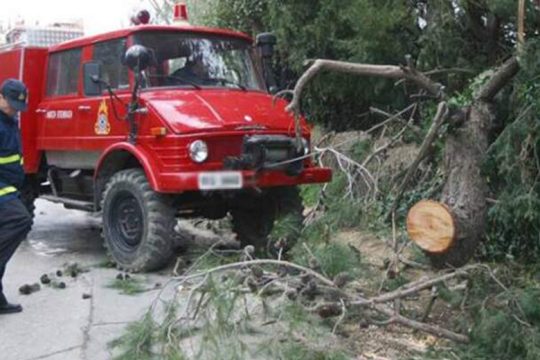 Τραυματίστηκε ηλικιωμένος από πτώση δέντρου στο Ηράκλειο
