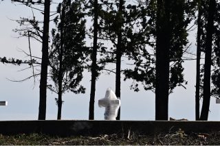 Γαλαζοαίματοι στη γαλάζια πολυκατοικία