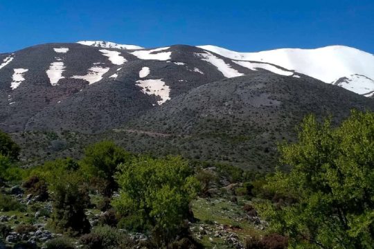 Προβληματισμός στα Ανώγεια από την εκτός δρόμου οδήγηση στον Ψηλορείτη