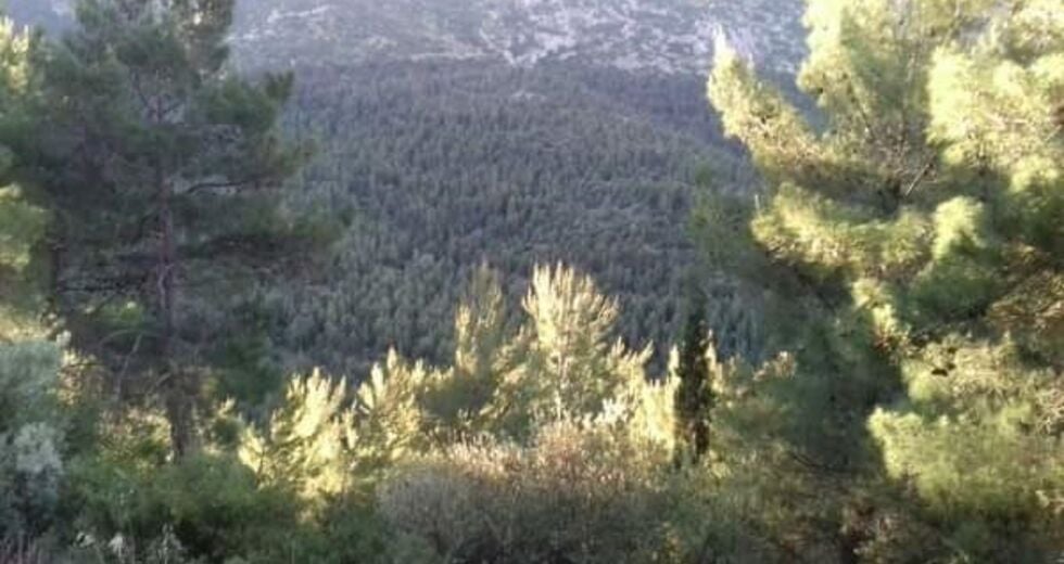 Μεγάλος προσκεκλημένος