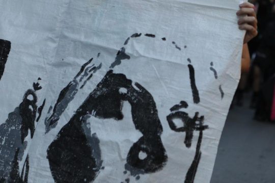 «Έπραξα με αλτρουισμό»: Προκλητικοί ισχυρισμοί Χορτιαρά στον Άρειο Πάγο για να αποφυλακιστεί