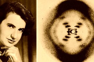 Η ΠΕΒ τιμά τη Rosalind Franklin