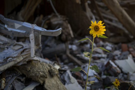 Ενας χρόνος πολέμου στην Ουκρανία. Και τώρα τι;
