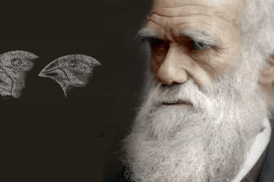 Το μακρύ ταξίδι του Δαρβίνου