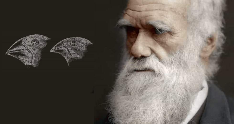Το μακρύ ταξίδι του Δαρβίνου