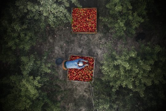 «Εμιγκρέ» και «γκασταρμπάιτερ»