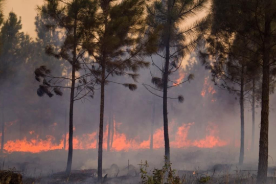 Στις φλόγες η ανατολική Κούβα