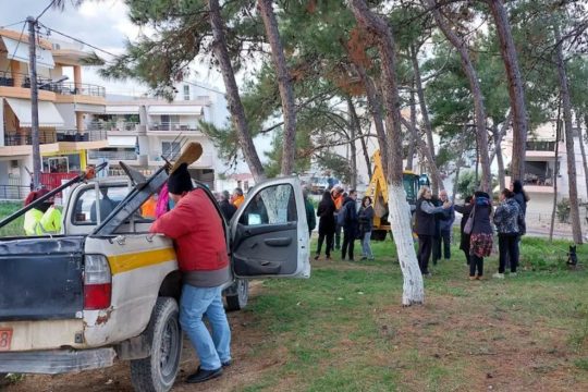 Ηράκλειο: Αντιδράσεις κατοίκων των Δειλινών για τις κοπές δέντρων