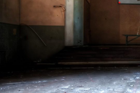 Αποτροπιασμός για κουφάρια ζώων σε εργοστάσιο – 33χρονος τα κακοποιούσε κατ΄ εξακολούθηση