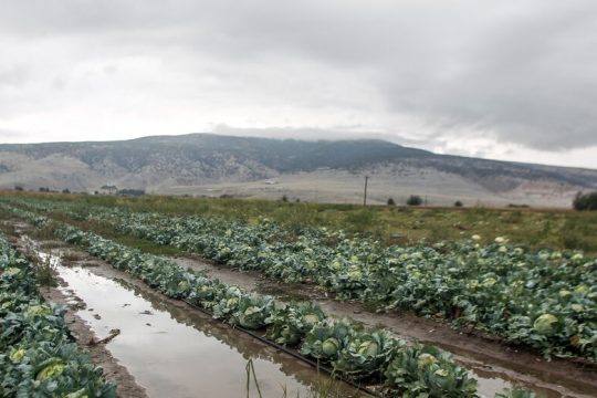 Κλιματική κρίση και γεωργική παραγωγή: πραγματικότητα, αποτελέσματα, προτάσεις