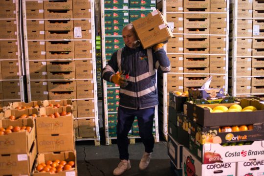 Λαχανικά με δελτίο στη Βρετανία – Μεγάλες ελλείψεις στα σούπερ μάρκετ