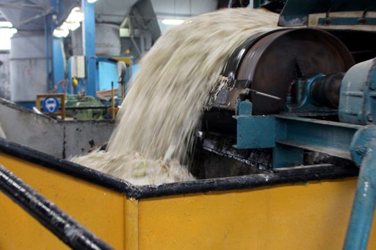 Κλαίνε οι τευτλοπαραγωγοί στην Κεντρική Μακεδονία