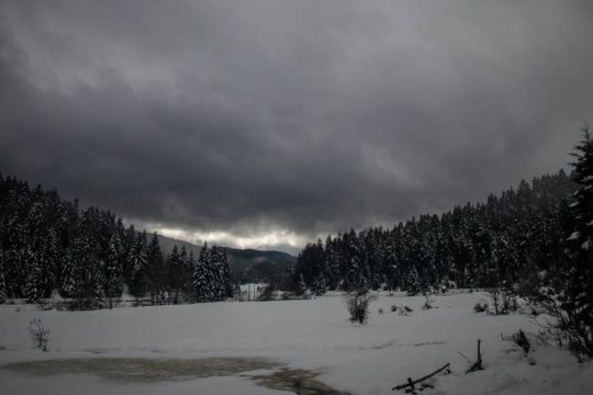 Γεωτεχνικό Επιμελητήριο: Η τροπολογία για τα δάση του ΑΠΘ, παραδοχή σφάλματος από την κυβέρνηση