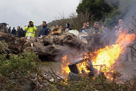 Προσεχώς πόλη-φάντασμα η Βάστρια