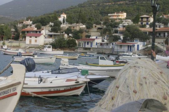 Θάνατος λιμενεργάτη στο Λιμάνι Θίσβης στη Βοιωτία