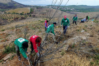 WWF και εθελοντές έδωσαν ζωή στο δάσος του Σουνίου με 15.000 νέα φυτά