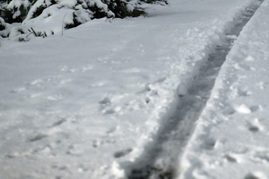 Συνεχίζονται οι χιονοπτώσεις, παγετός έως και την Πέμπτη