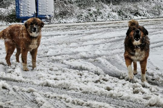 Στα 60 εκ. μπορεί να φτάσει το ύψος του χιονιού στην Αττική