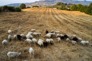 Καταγγελία: Η Ε.Ε. έχει δώσει πράσινο φως για μείωση φορολογίας στον πρωτογενή τομέα