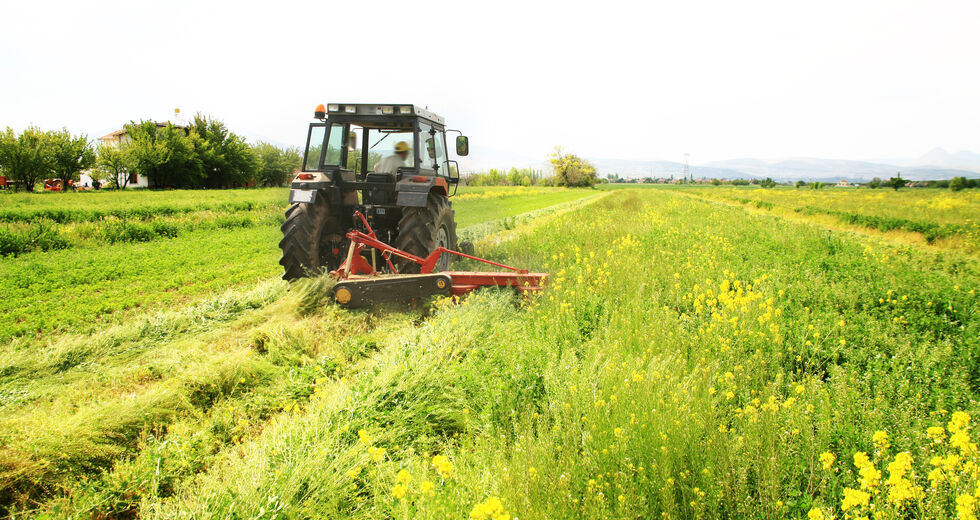 Βιώσιμη αγροτική ανάπτυξη στην πράξη