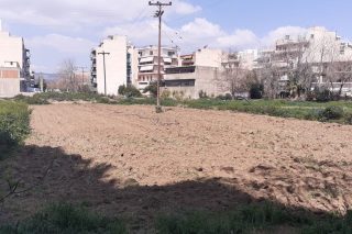 Ιδιωτικό μποστάνι σε δημοτικό χώρο