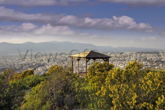 Μια νησίδα φύσης
