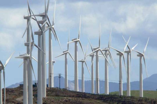 Οργανώσεις ΜέΡΑ25: Νεκροταφεία ανεμογεννητριών τα νησιά μας
