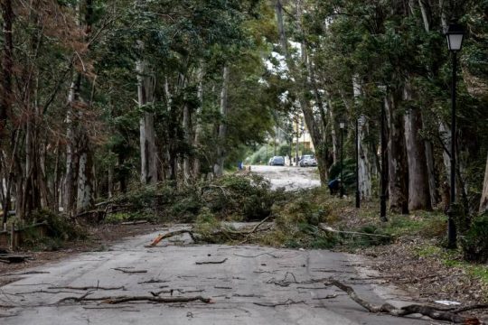 Προβλήματα και δεκάδες κλήσεις στην Πυροσβεστική λόγω των ισχυρών ανέμων