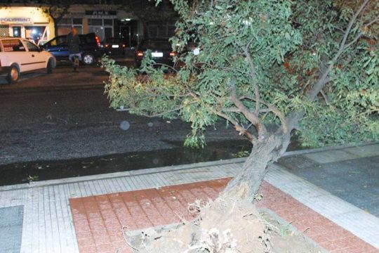 Προβλήματα στην ηλεκτροδότηση και πεσμένα δέντρα λόγω ανέμων στη Θεσσαλονίκη