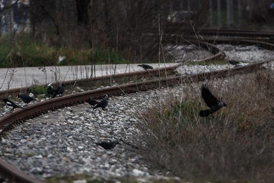 Διαγραφή χρεών και ειδική σύνταξη μεταξύ των μέτρων στήριξης