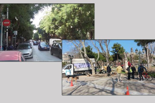 Μάχες σώμα με σώμα για τη σωτηρία των δέντρων