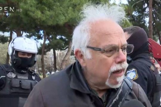 Δικάζεται η προστασία των δέντρων!