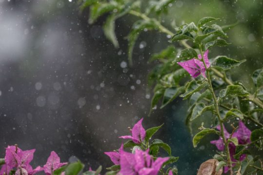 Βροχές και ζέστη, ισχυροί νοτιάδες στα πελάγη