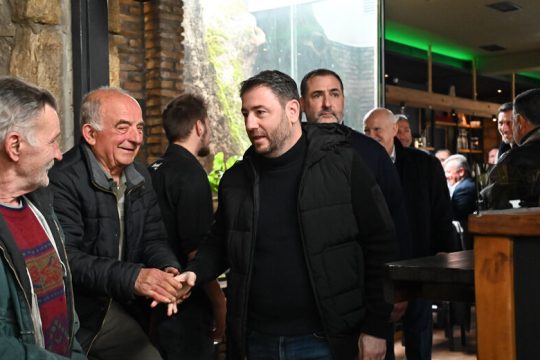 Βολές Ανδρουλάκη για τράπεζες – δάνεια