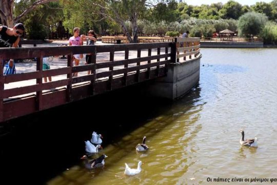 «Φουλ ολοταχώς από την κυβέρνηση για ιδιωτικοποίηση του πάρκου Τρίτση»