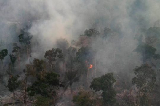 Πυρκαγιά σε δασική έκταση στα Μέγαρα