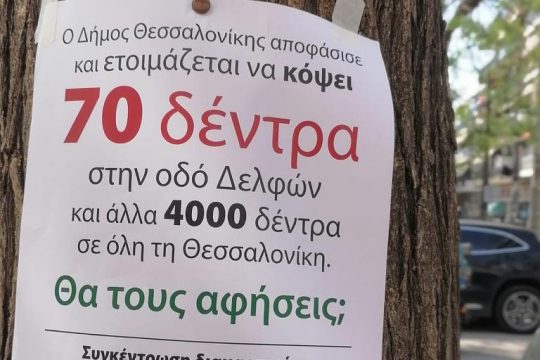 Kατά του αλυσοπρίονου