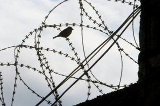 Στις κάλπες περισσότεροι κρατούμενοι