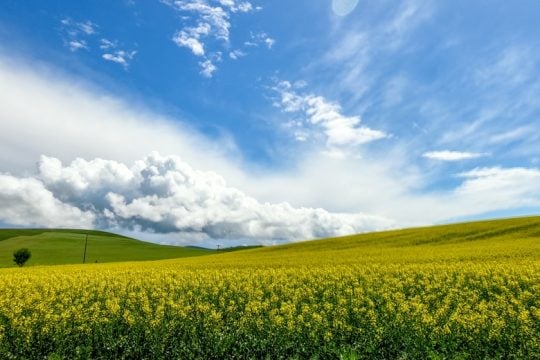 «Ecodialogues» για τη φύση και το κλίμα