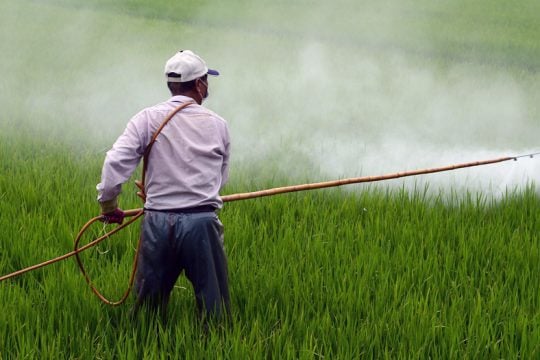 ΕΕ: Ο Οργανισμός Περιβάλλοντος ζήτησε να μειωθεί η χρήση παρασιτοκτόνων