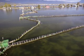 Στο ΣτΕ για τις ιχθυοκαλλιέργειες σε Αιτωλοακαρνανία και Εχινάδες Νήσους