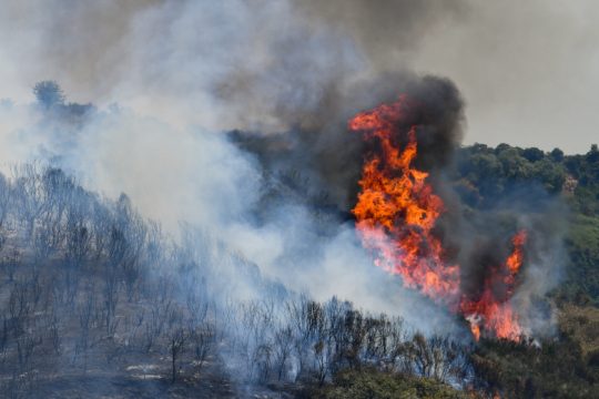 Δασικές πυρκαγιές στη Χαλκιδική και στη Μαυροσουβάλα Ωρωπού